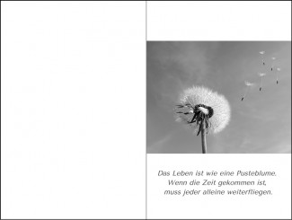 270 Sterbebild Pusteblume in schwarz-weiß 