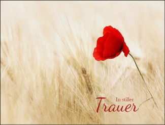 272 Sterbebild Mohnblume 