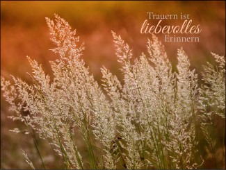 274 Sterbebild liebevolles Erinnern 