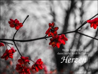 286 Sterbebild Blumenzweig 