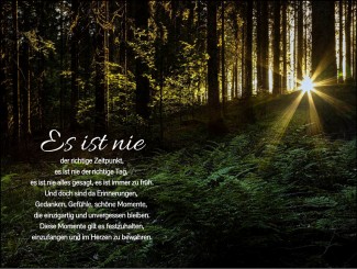 288 Sterbebild Waldlichtung 