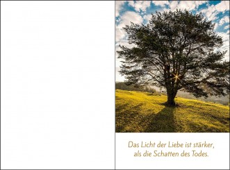 4050 Sterbebild Heller Lichtstrahl 