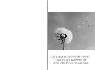 4058 Sterbebild Pusteblume in schwarz-weiß 