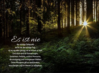 4076 Sterbebild Waldlichtung 