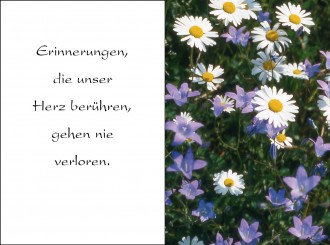 7005 Sterbebild Gänseblümchen 