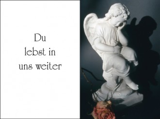 714 Sterbebild Schattenengel 