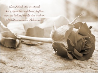 715 Sterbebild Rose liegend 