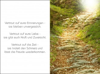 720 Sterbebild Weg zum Licht 