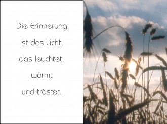 729 Sterbebild Ährenfeld mit Sonnenhimmel 