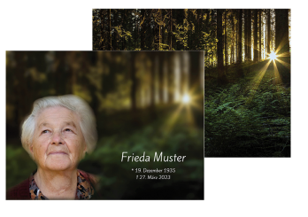 Sterbebild Waldlichtung 