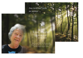 Sterbebild Licht im Wald 