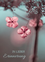 Gedenkkarte "Naturbild kreativ" (1344) 