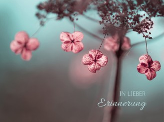 2015 Sterbebild Naturbild kreativ 