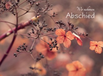 2014 Sterbebild Herbststimmung 