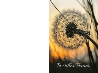 2016 Sterbebild Pusteblume 