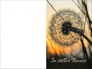 216 Sterbebild Pusteblume 