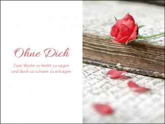 257 Sterbebild Ohne Dich 
