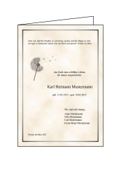 3004 Trauerbrief DIN A 5 gefaltet, ohne Kuvert 