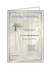 3006 Trauerbrief DIN A 5 gefaltet, ohne Kuvert 