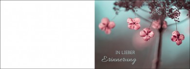 1535 Trauerkarte 4-seitig DIN A 6 Quer, ohne Kuvert 