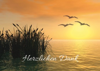 Trauerdanksagung "Lichtermeer" (1608) 