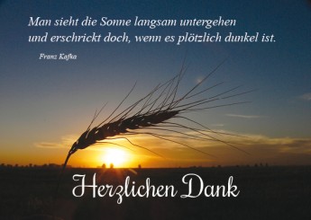 Trauerdanksagung "Ähre im Sonnenuntergang" (1611) 