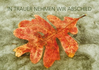 Trauerkarte "Ahornblatt" (1612) 