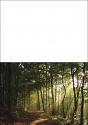 1704 Trauerkarte 4-seitig DIN A 6 nach oben, ohne Kuvert 