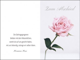 204 Sterbebild Rose pastell 