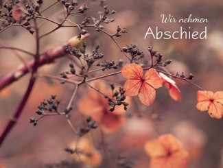 214 Sterbebild Herbststimmung 