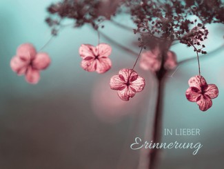 215 Sterbebild Naturbild kreativ 