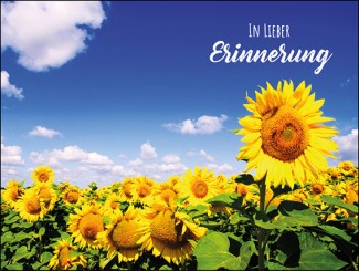233 Sterbebild Sonnenblumenfeld 