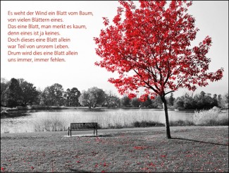 244 Sterbebild Naturmotiv kreativ 