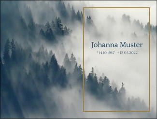 258 Sterbebild Landschaft im Nebeleffekt 