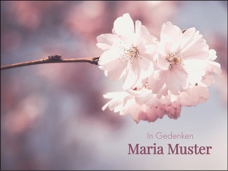 259 Sterbebild Blumenmotiv im Pastellton 