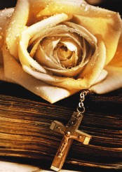 Gedenkkarte "Rose mit Rosenkranz" (1326) 