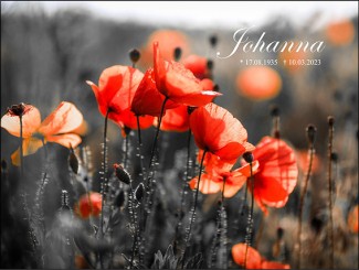 260 Sterbebild Mohnblumen kreativ 