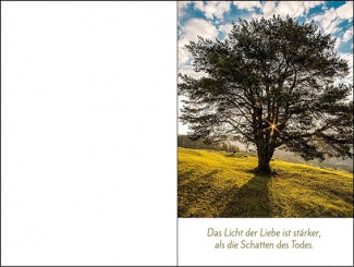 262 Sterbebild Heller Lichtstrahl 