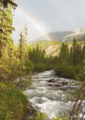 Gedenkkarte "Fluss mit Regenbogen" (1333) 