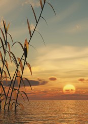 Gedenkkarte "Sonnenuntergang" (1335) 