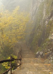 Gedenkkarte "Weg" (1336) 