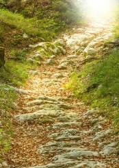 Gedenkkarte "Weg zum Licht" (1305) 